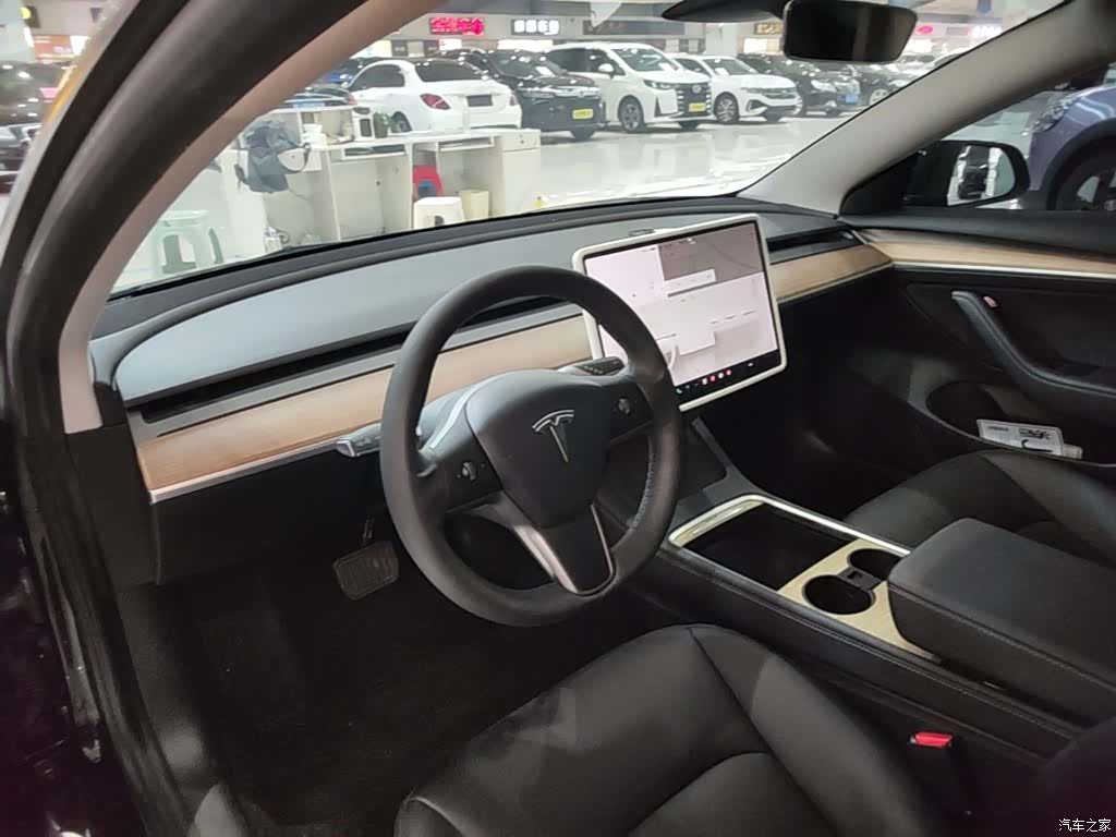 Tesla Model 3, 2021 10
