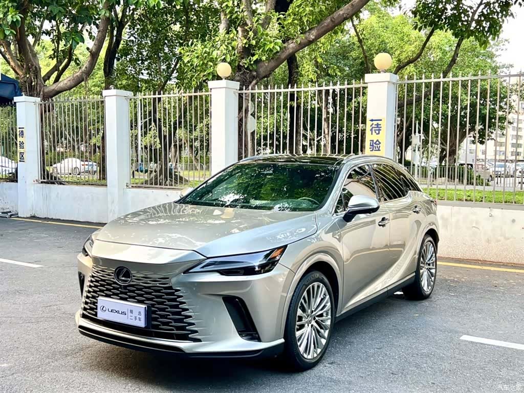 Lexus RX, 2023 1