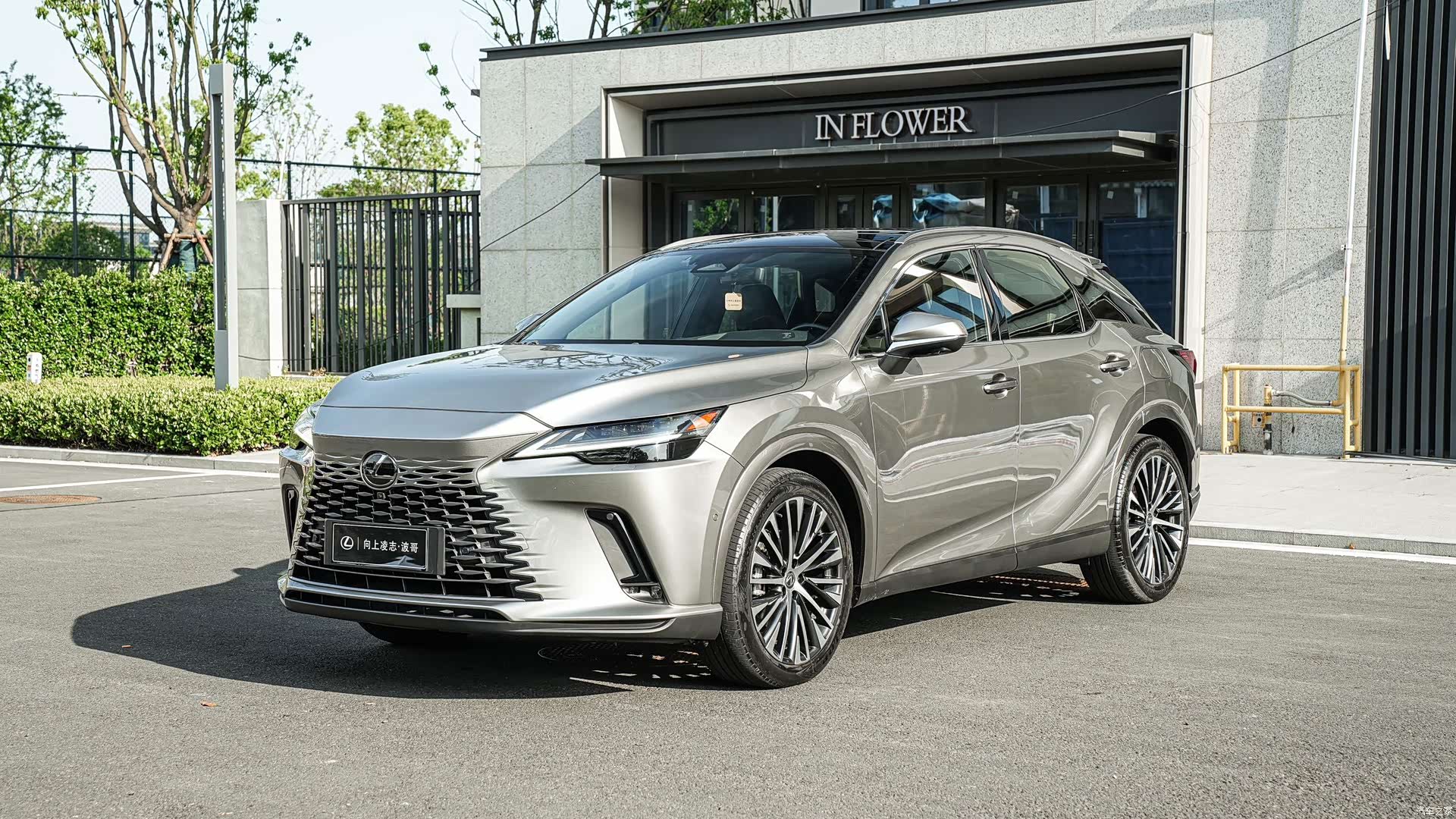 Lexus RX, 2023 1