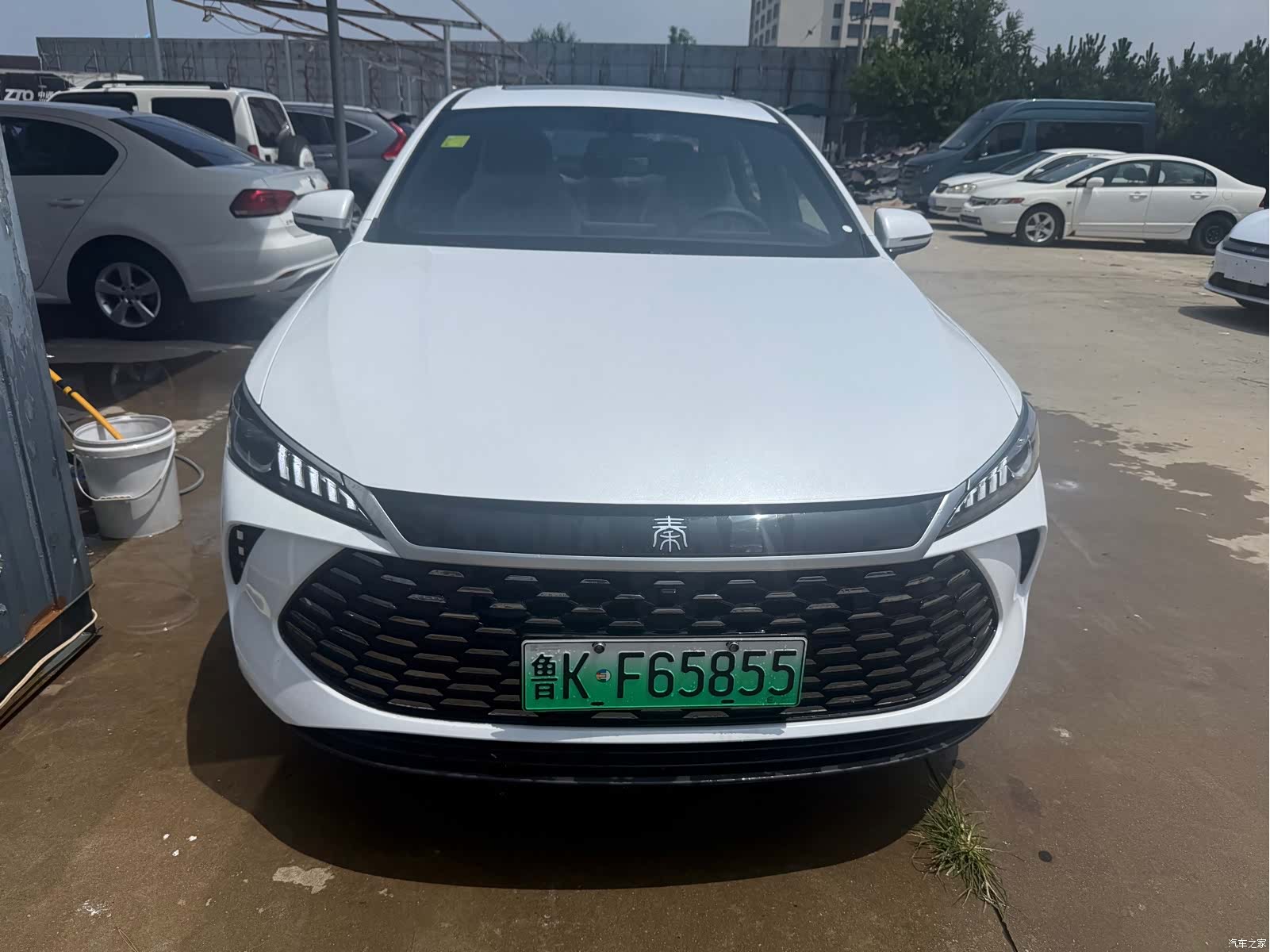 BYD Qin, 2026 2