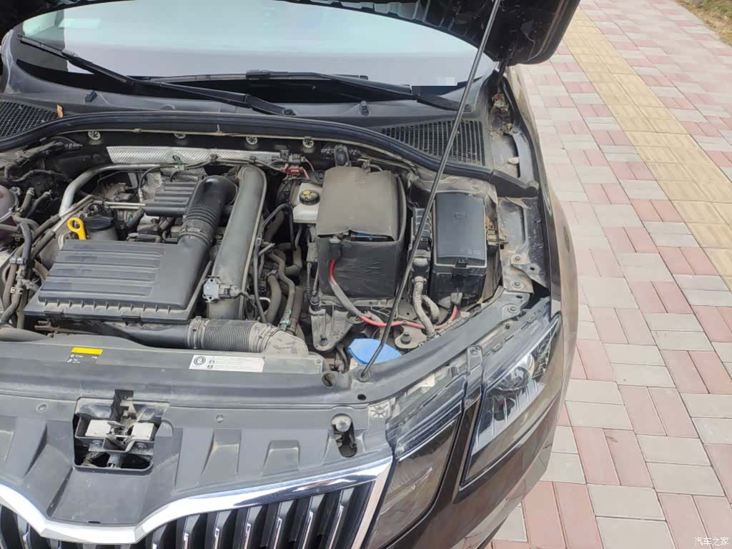Skoda Octavia, 2017 22