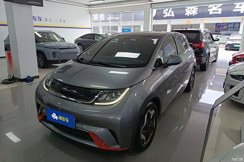 BYD Dolphin, 2022 1