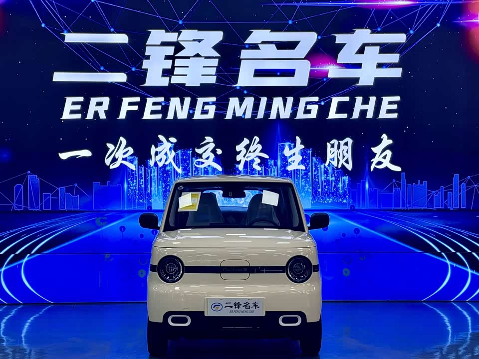 Geely Galaxy panda Geely Galaxy panda