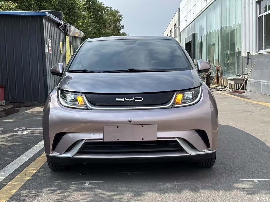 BYD Dolphin, 2022 3