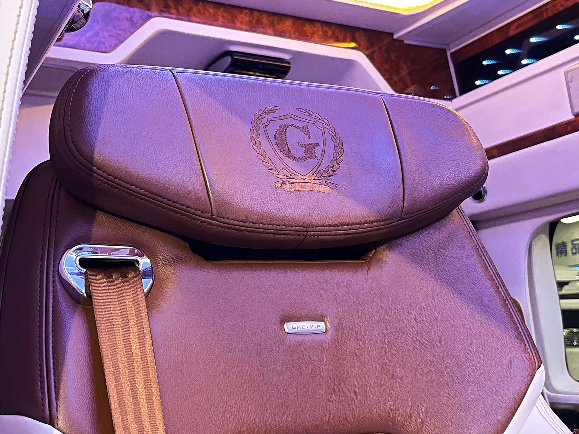 GMC SAVANA, 2016 35