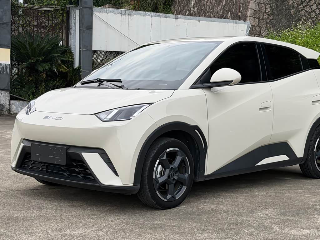 BYD Seagull