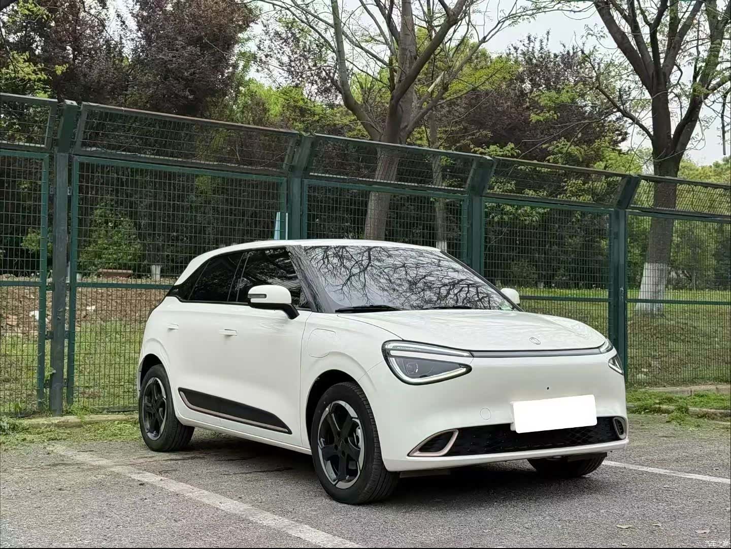 DongFeng 01, 2025 8
