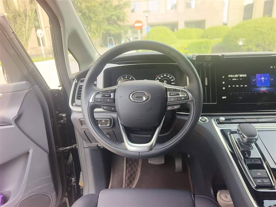 Trumpchi Trumpchi M8