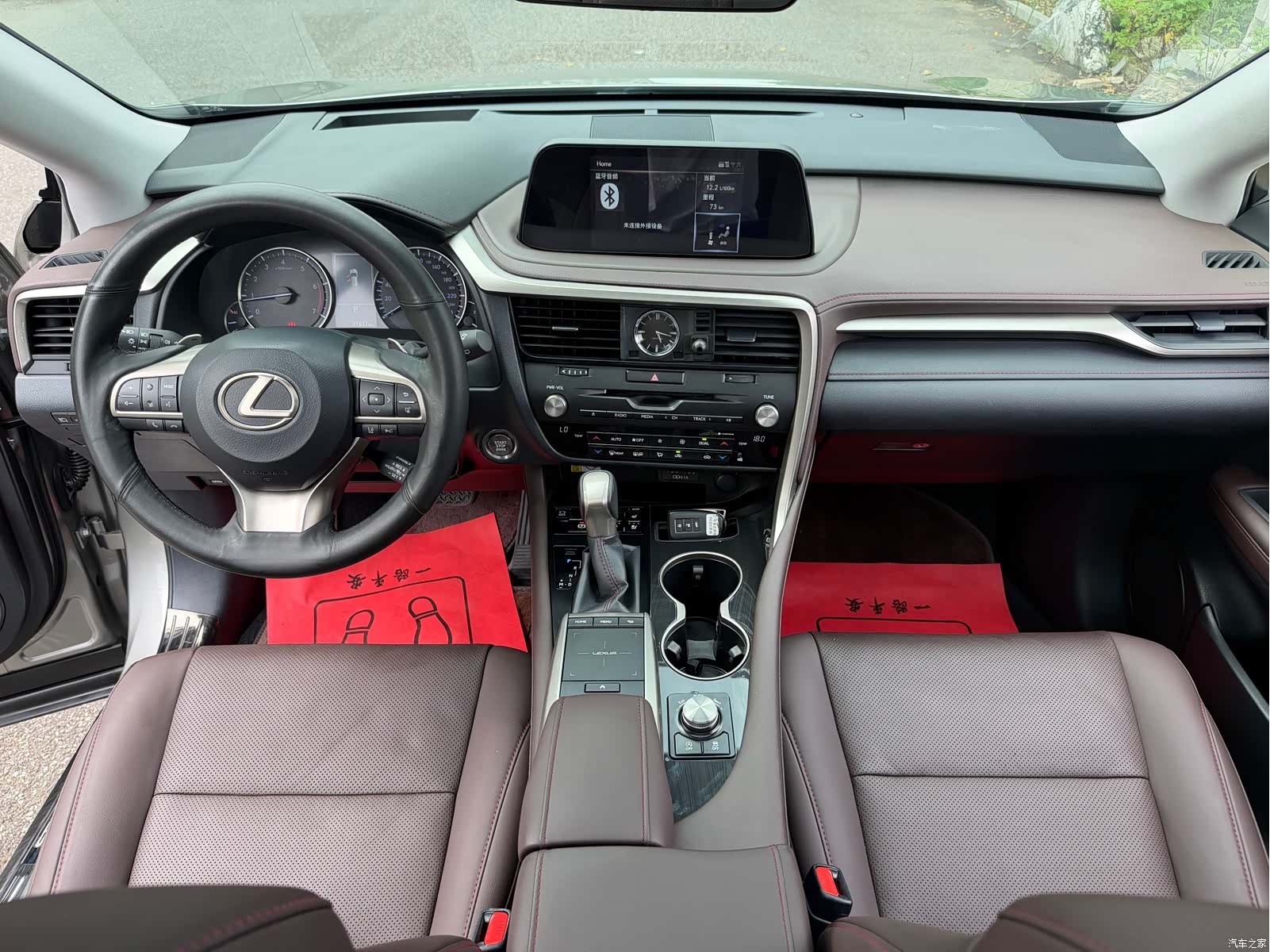 Lexus RX, 2021 8