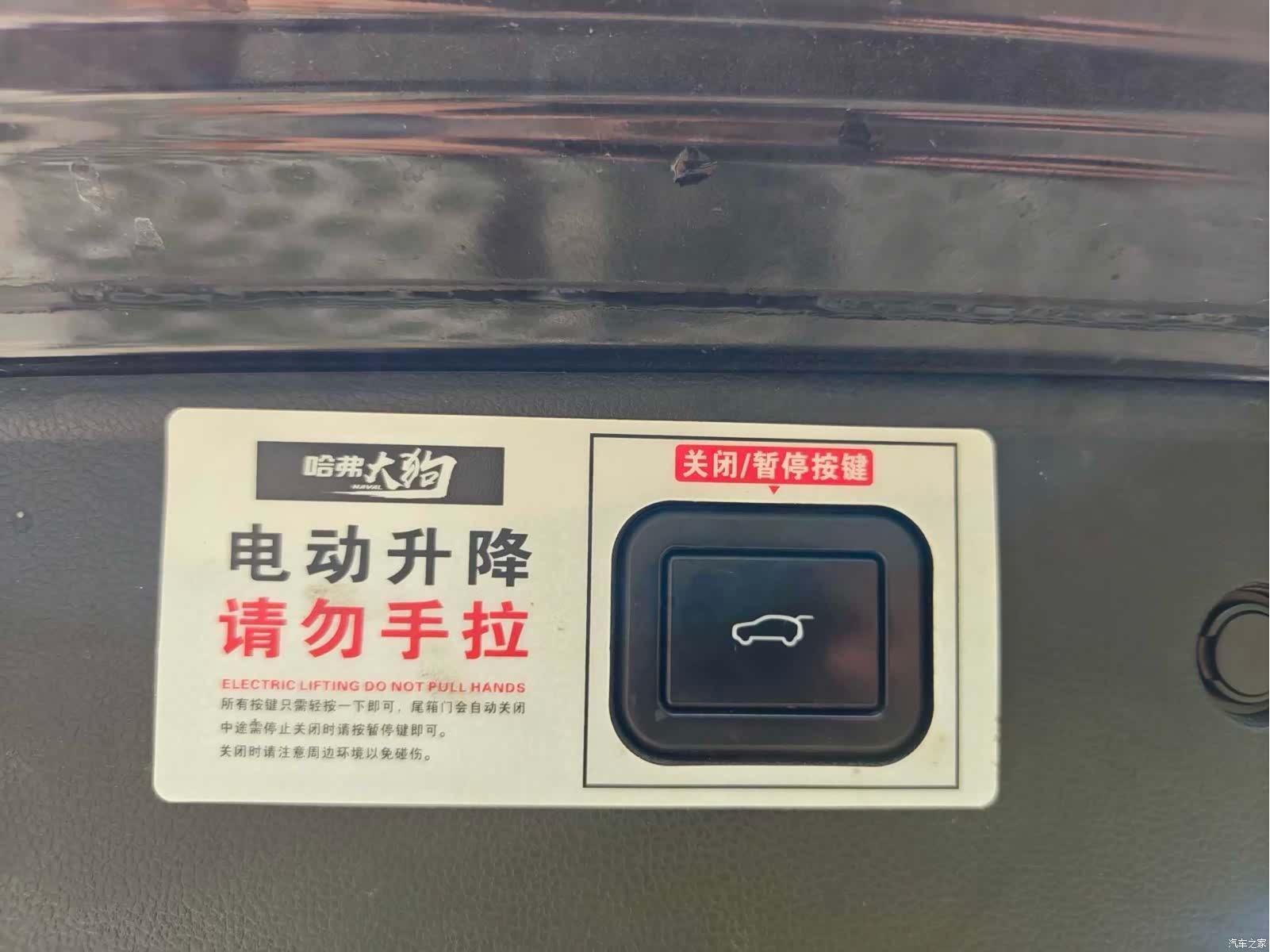 Haval Big Dog, 2021 21