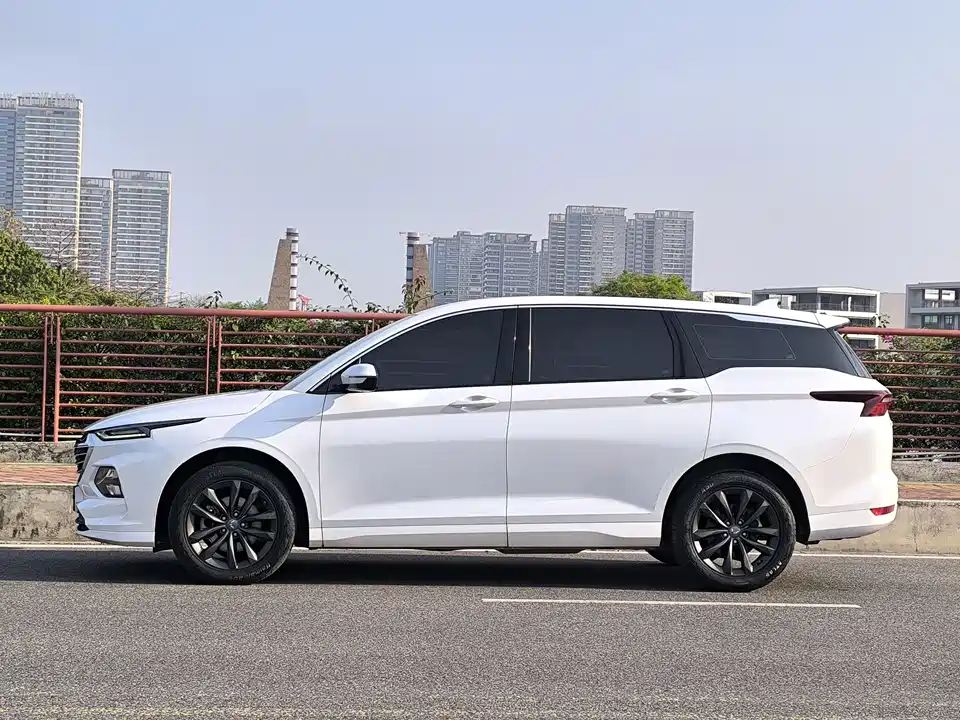 Wuling Wuling Capgemini