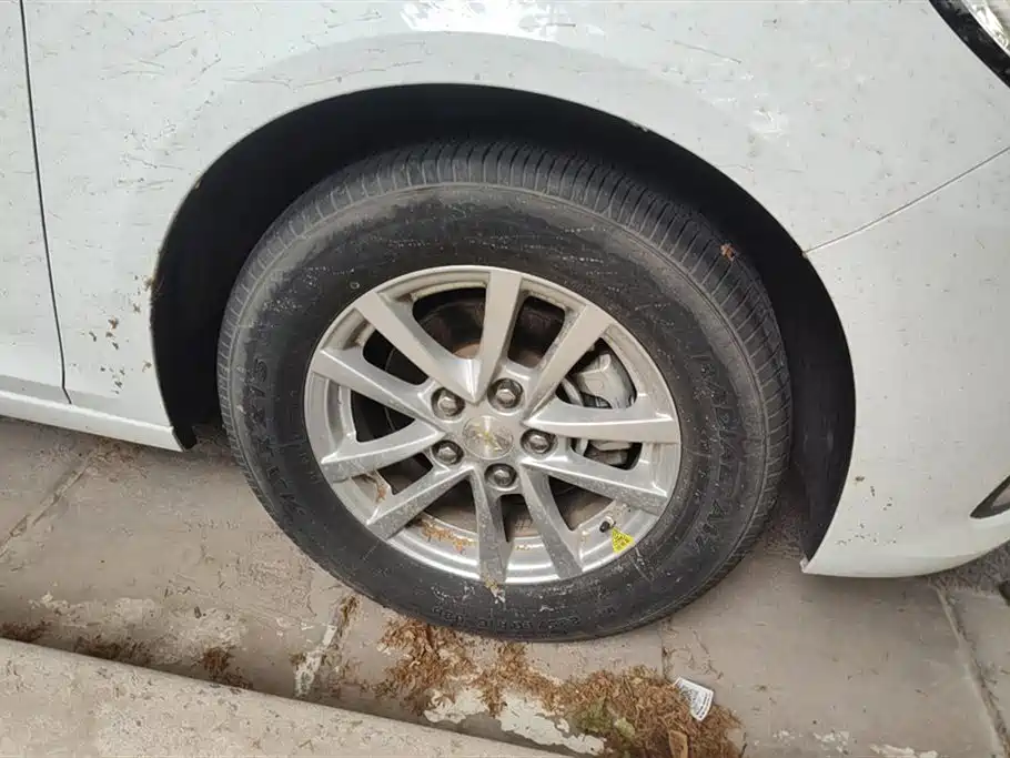 Chevrolet Mai Ruibao