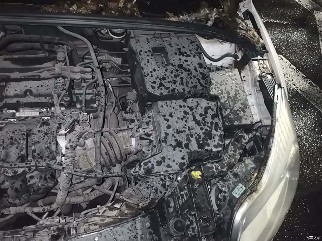 Ford Focus, 2014 22