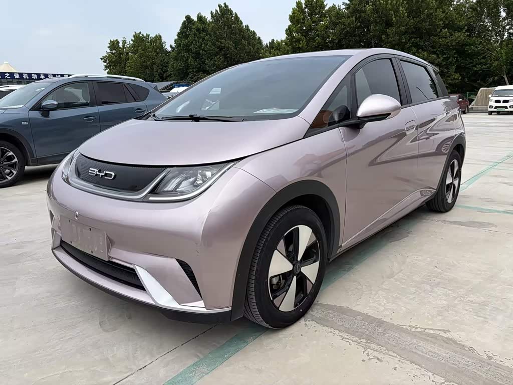 BYD Dolphin