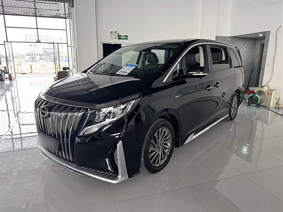 Trumpchi Trumpchi M8