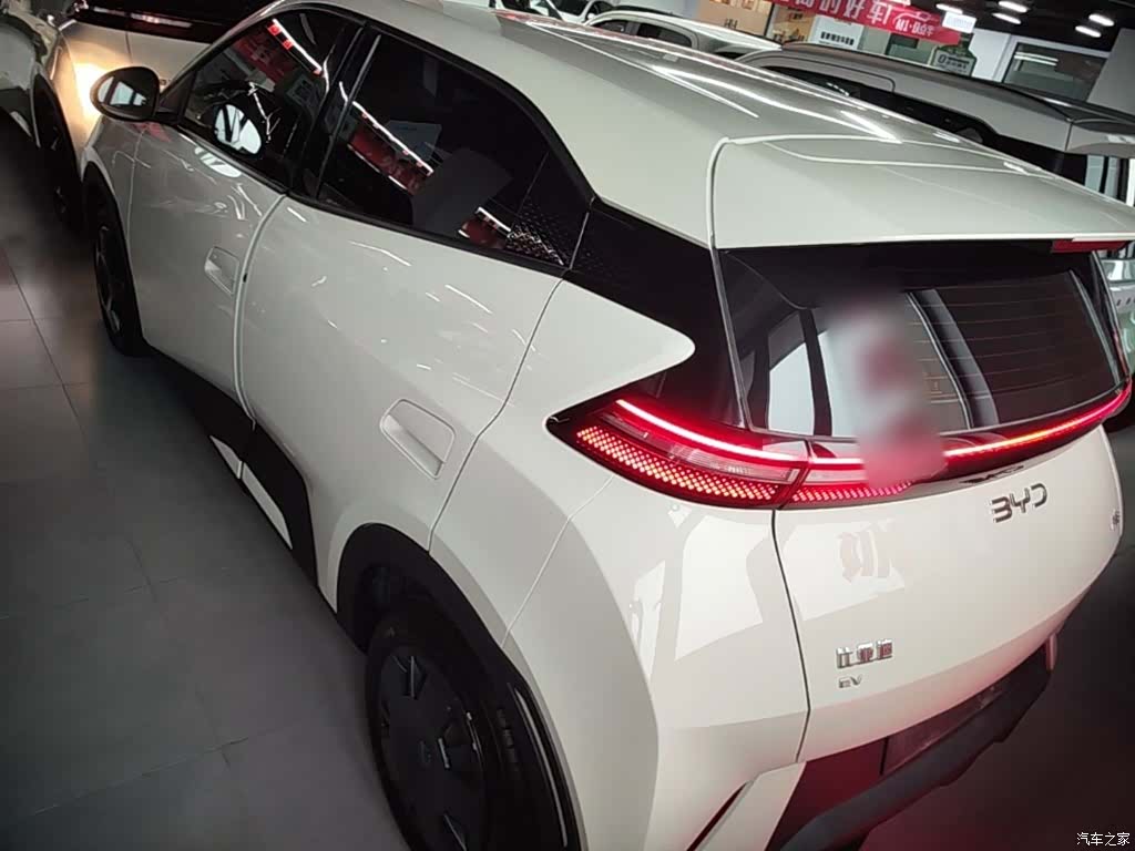 BYD Seagull, 2025 все фото