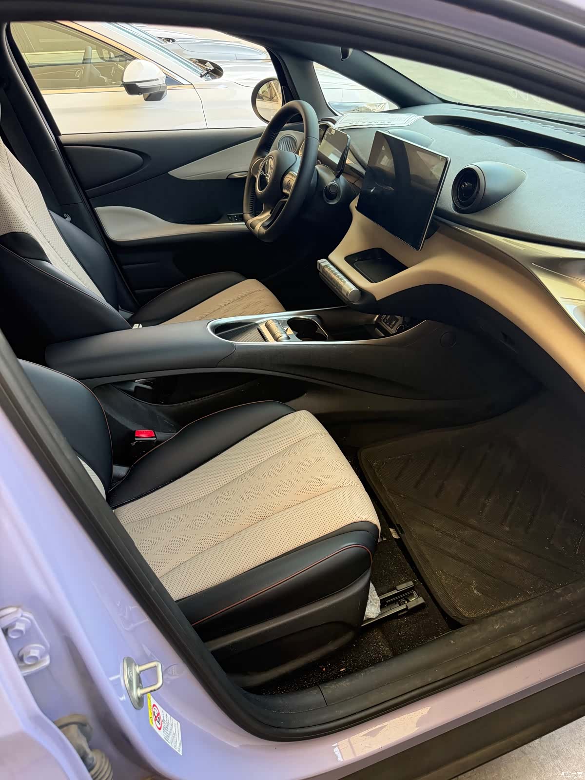BYD Dolphin, 2024 7