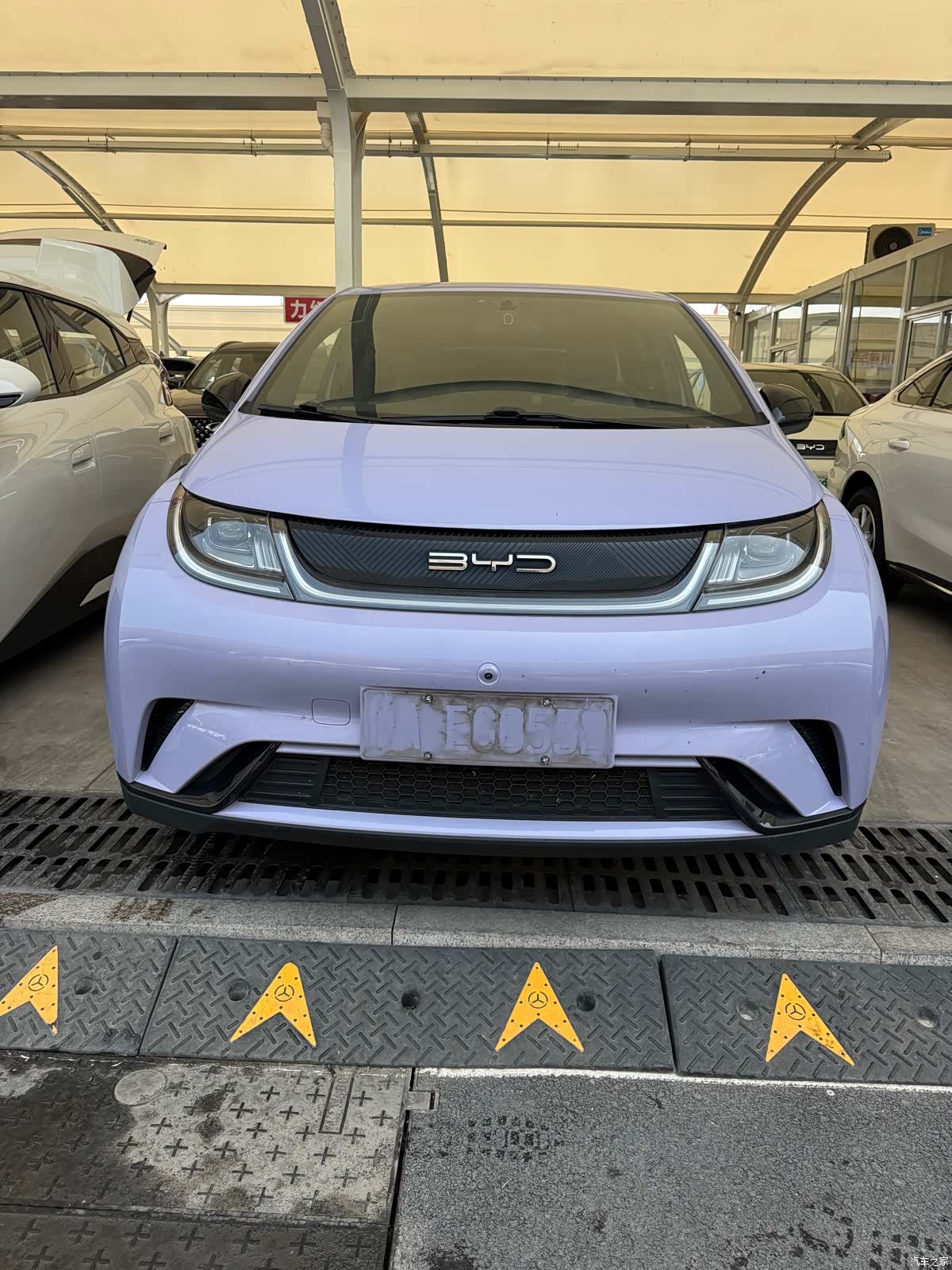 BYD Dolphin, 2024 9
