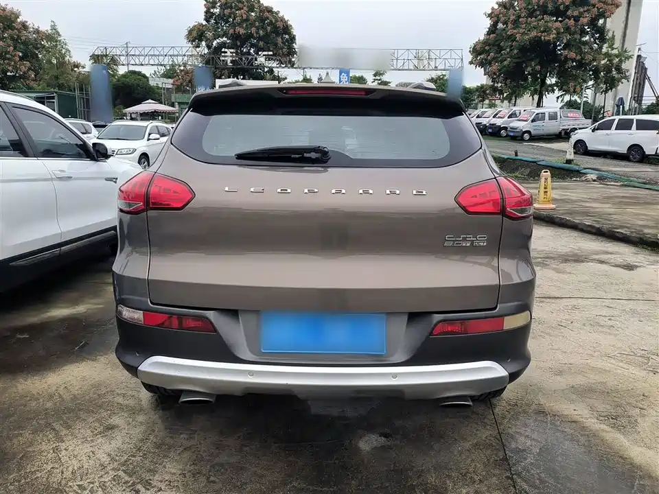 Leopaard Cheetah CS10