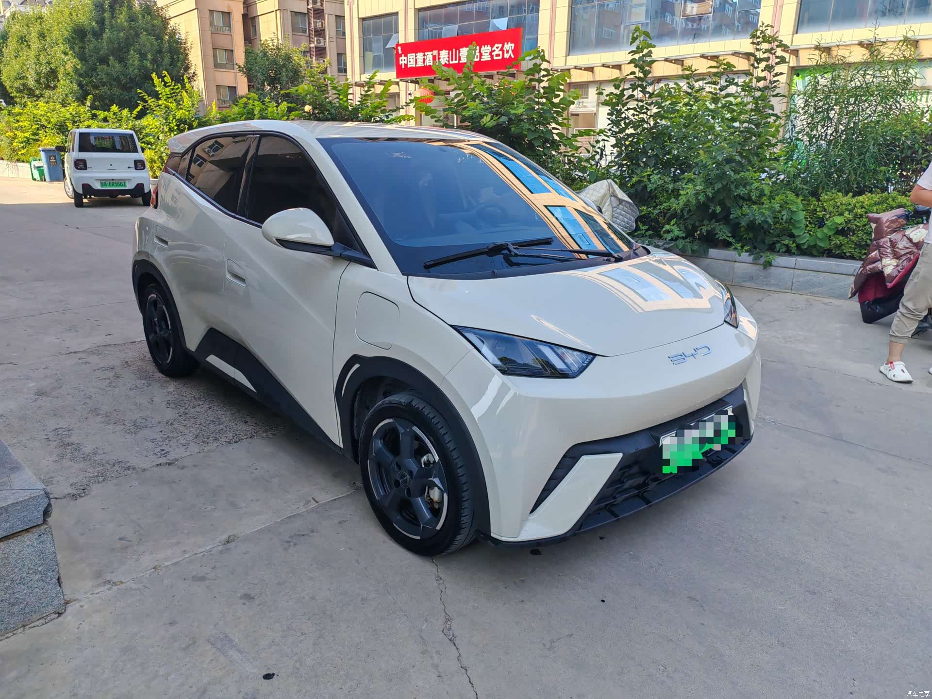BYD Seagull, 2023 3