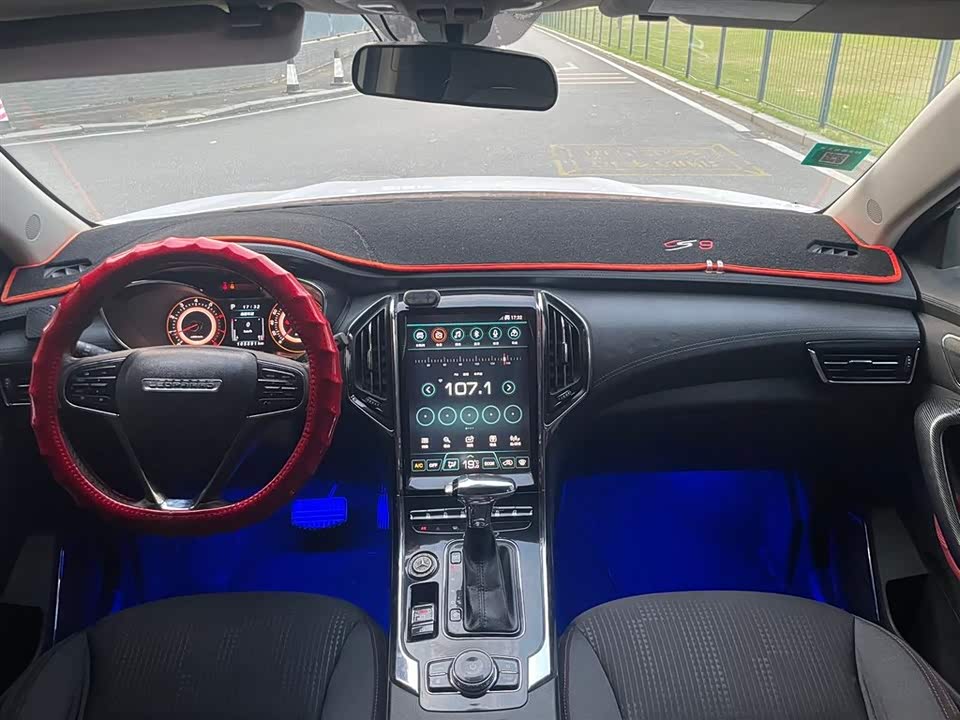 Leopaard Cheetah CS9