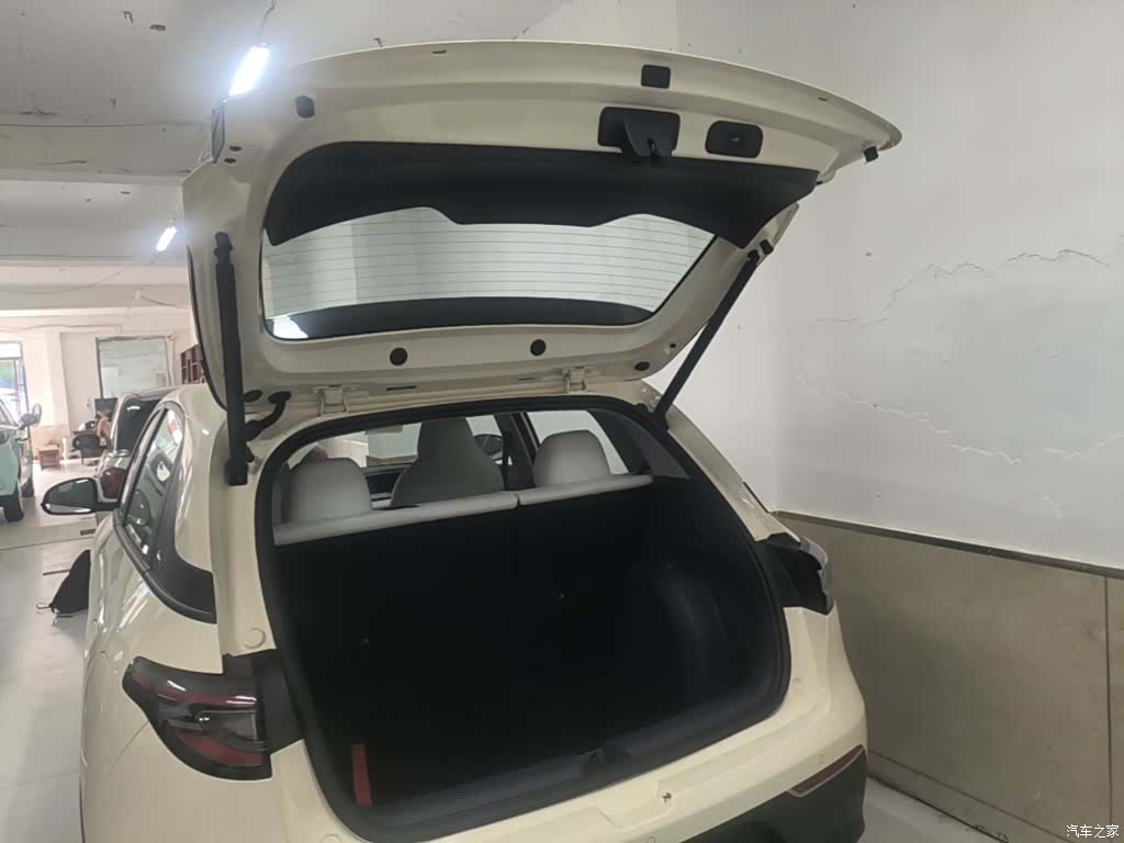 Geely Xingyuan, 2026 19