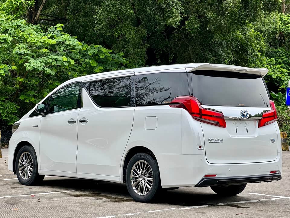 Toyota Elfa