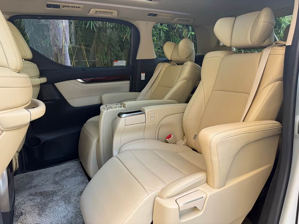 Toyota Elfa