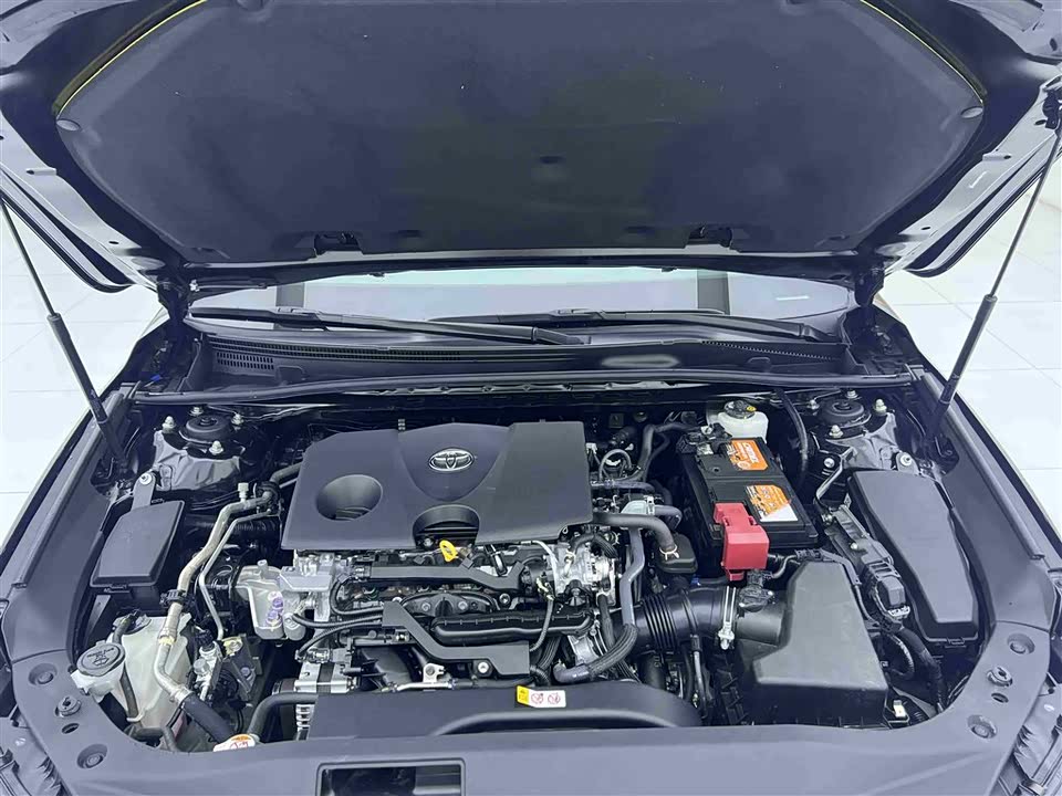 Toyota Asian dragon