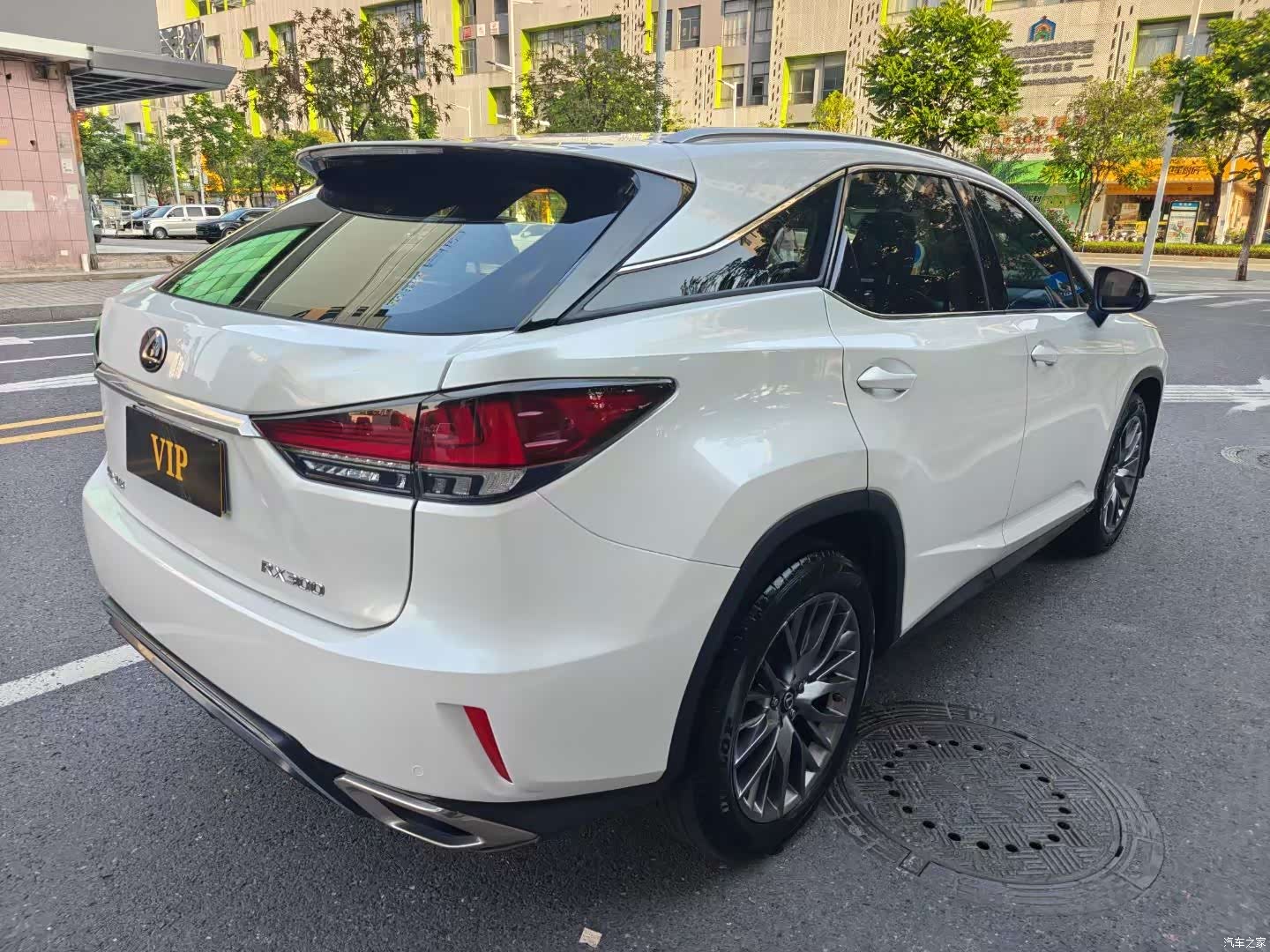 Lexus RX, 2018 4
