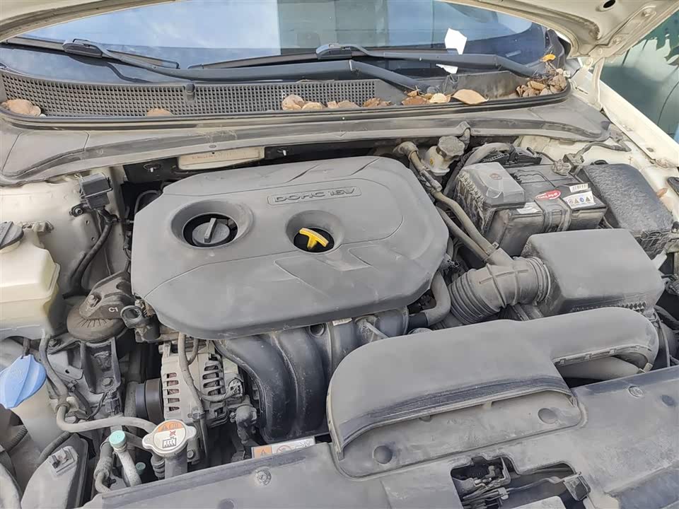 Hyundai Name picture