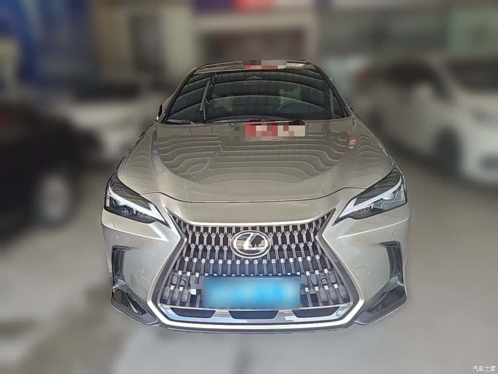 Lexus NX, 2022 все фото