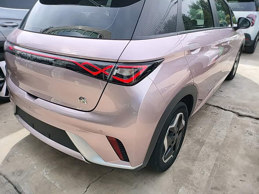 BYD Dolphin 2022, фото 8