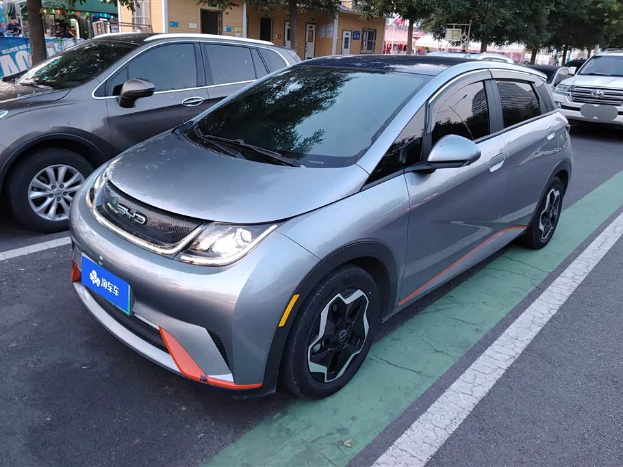BYD Dolphin