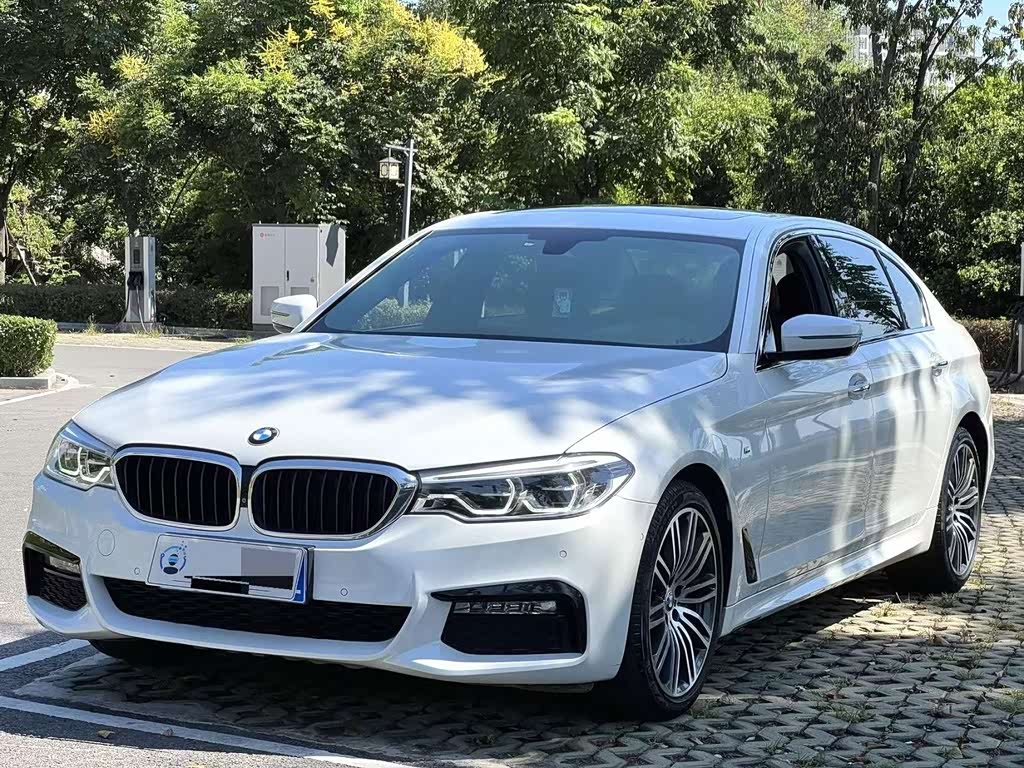 BMW 5 Series 5 2018 530Li Premium M Sport