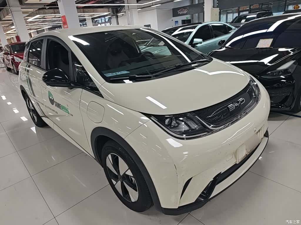 BYD Dolphin, 2023 4