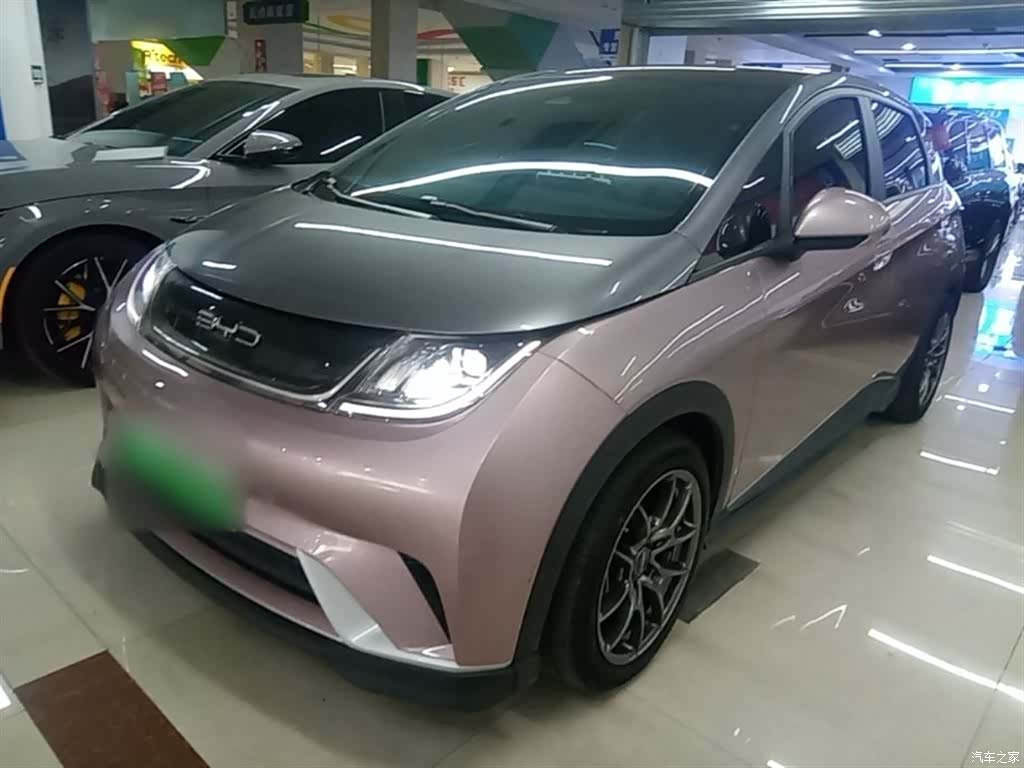 BYD Dolphin, 2021 2