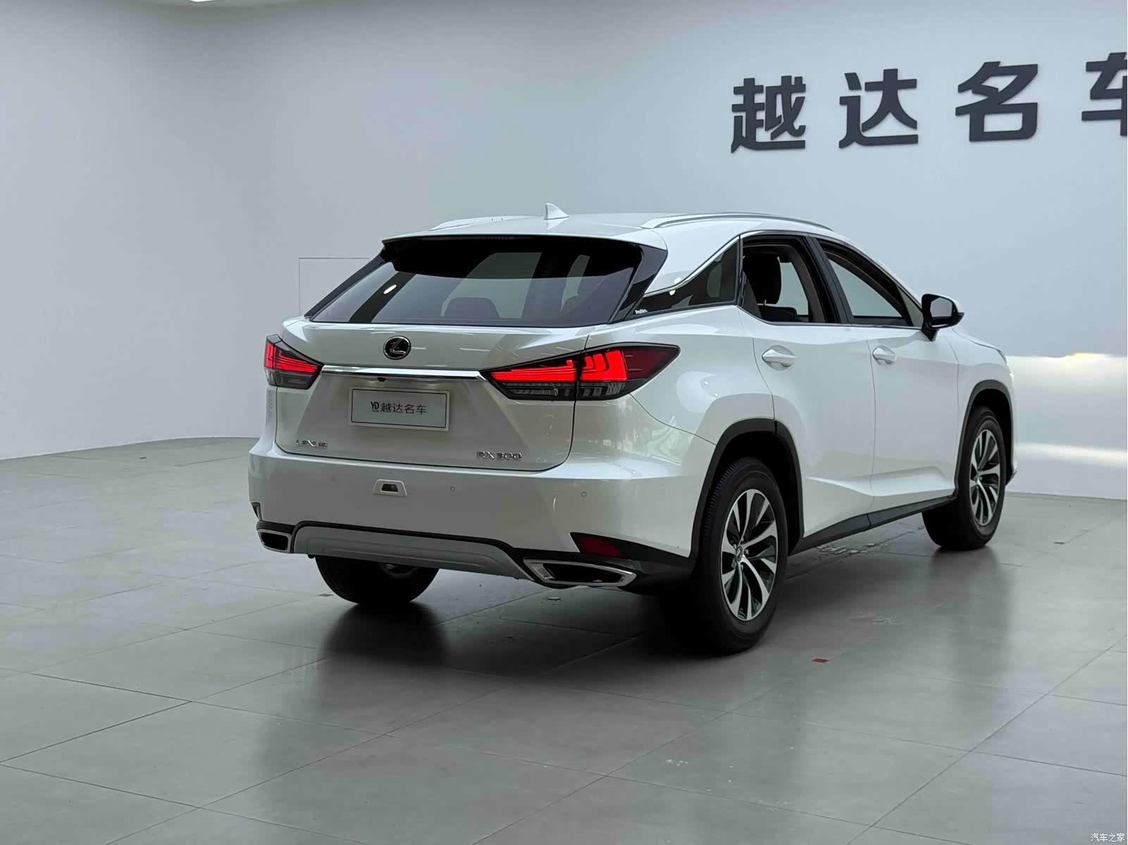 Lexus RX, 2023 21