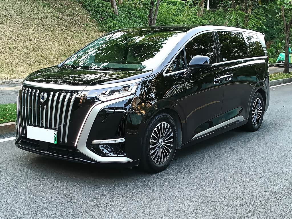 Denza D9