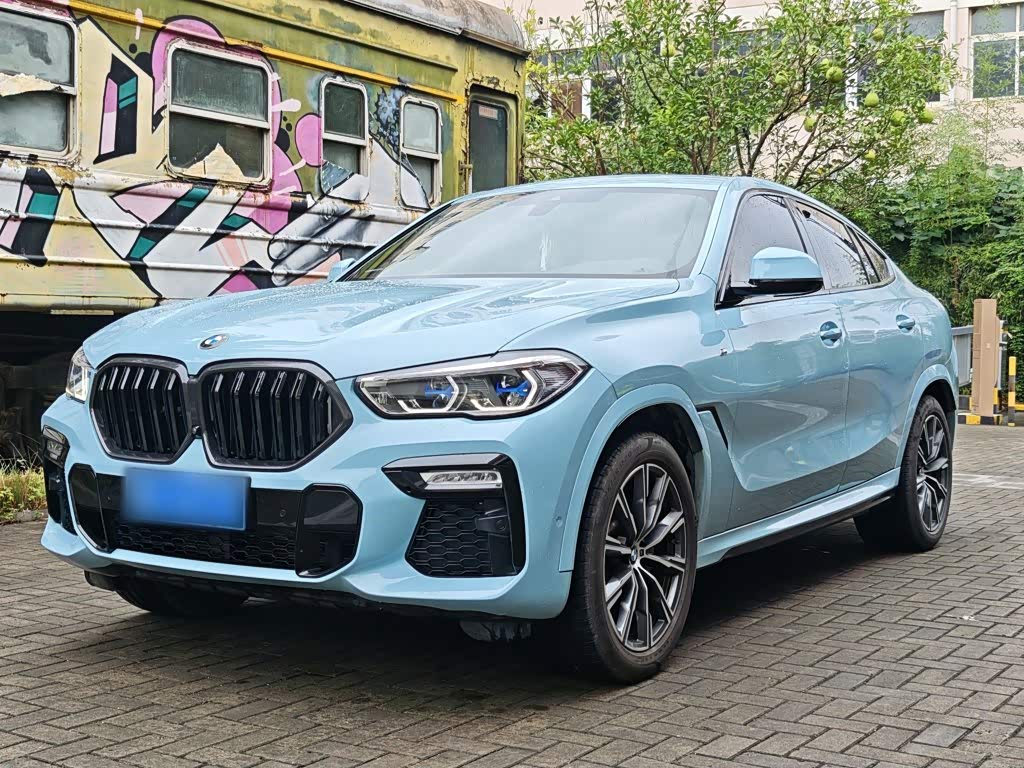 BMW X6