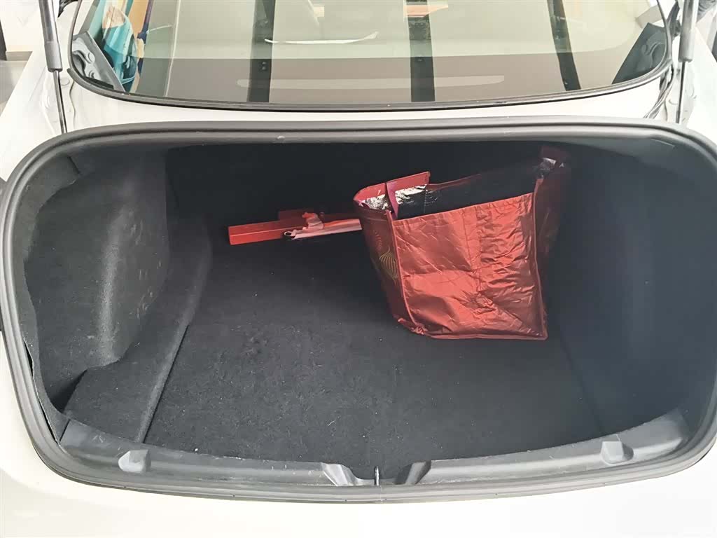 Tesla Model 3, 2021 19