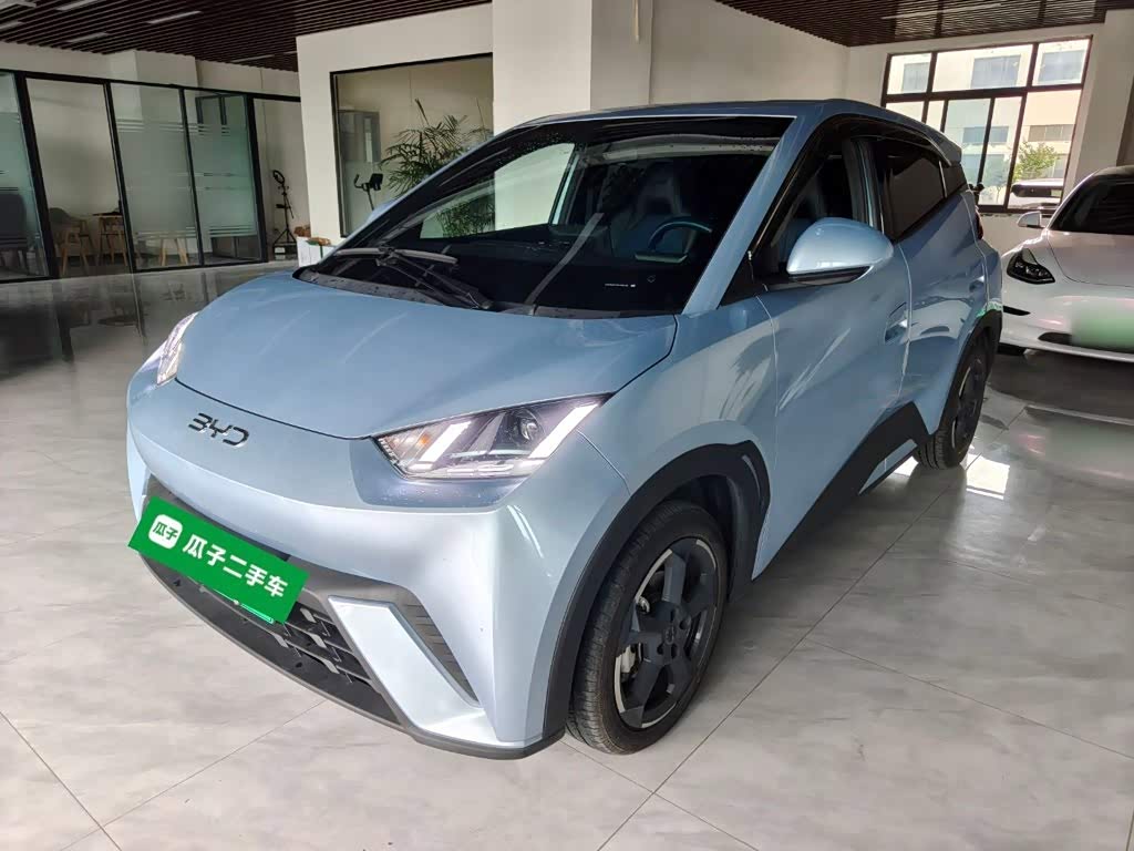 BYD Seagull