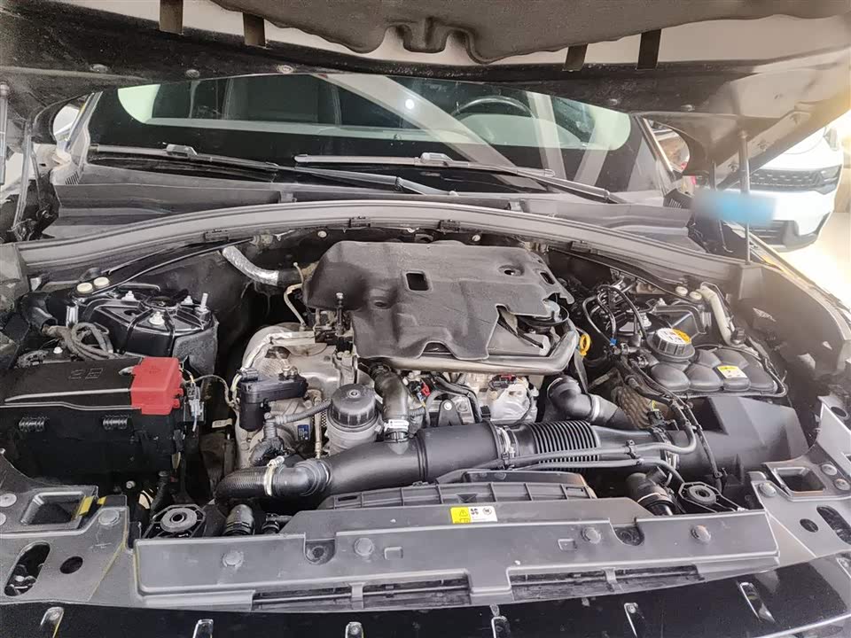 Land Rover Range Rover Star Pulse