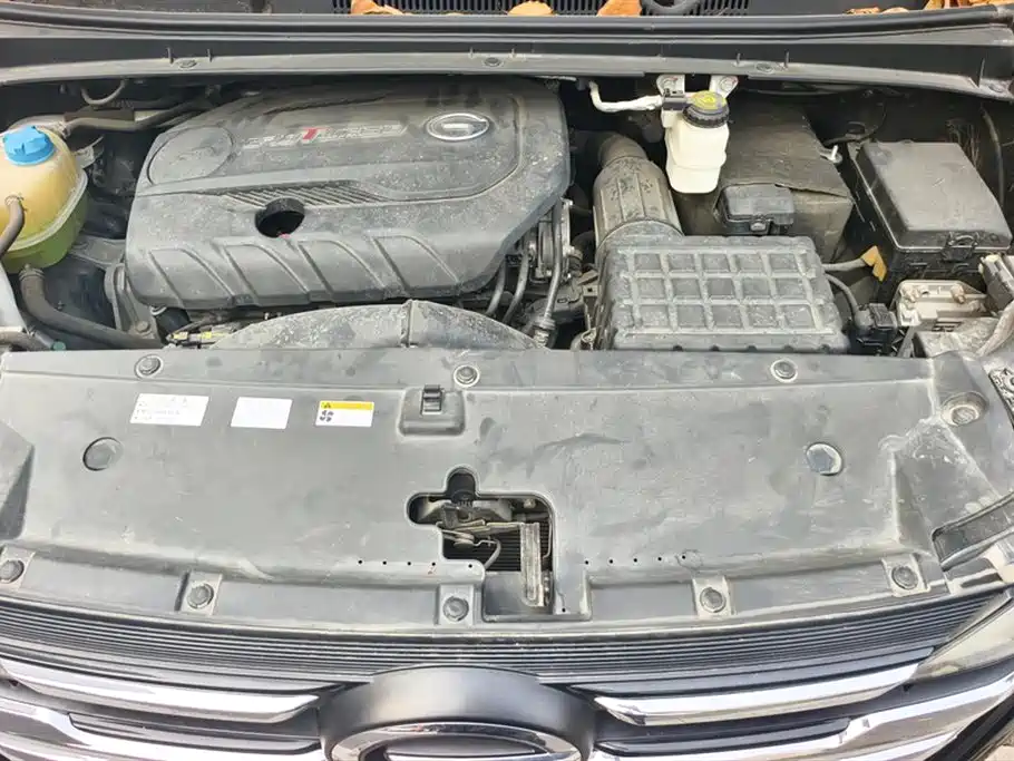 Trumpchi Trumpchi M6