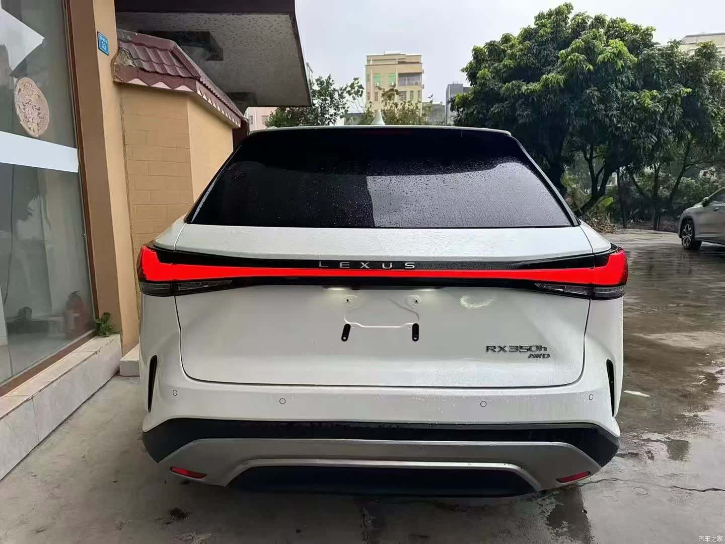 Lexus RX, 2024 8