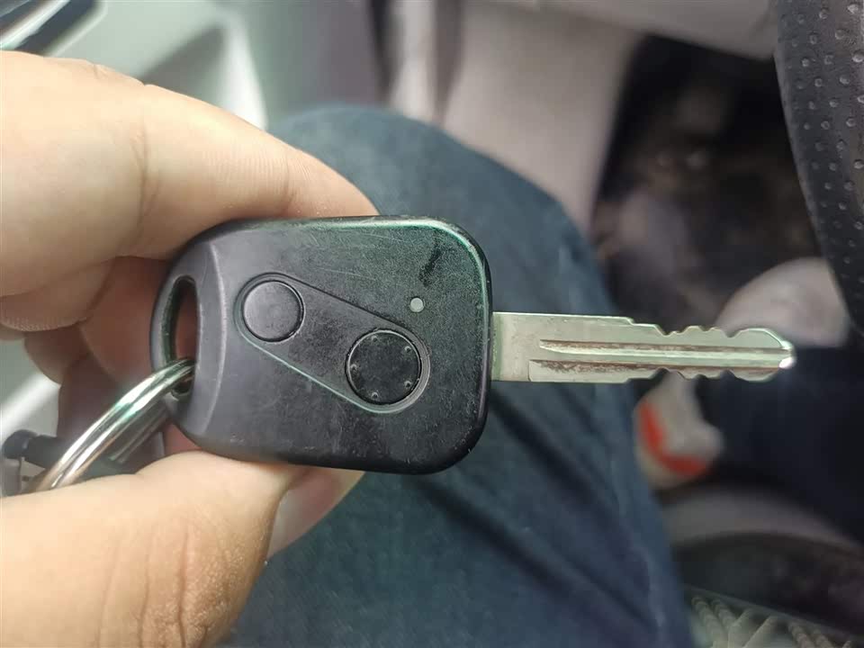 Jinbei New Sea Lion X30L