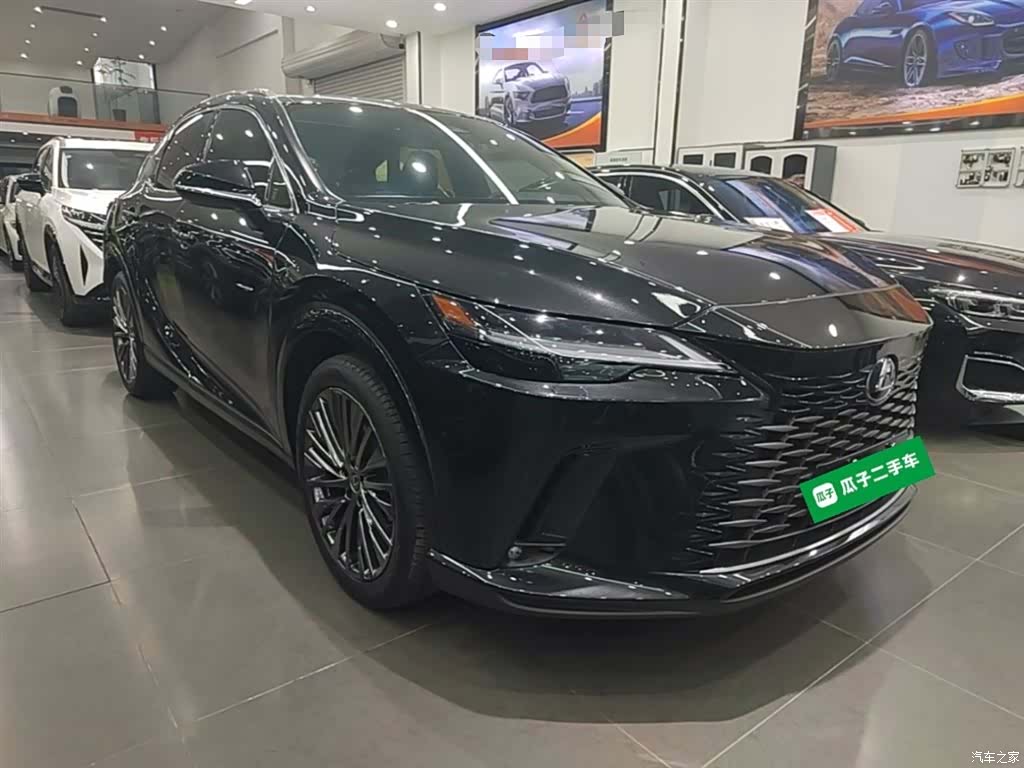 Lexus RX, 2023 4