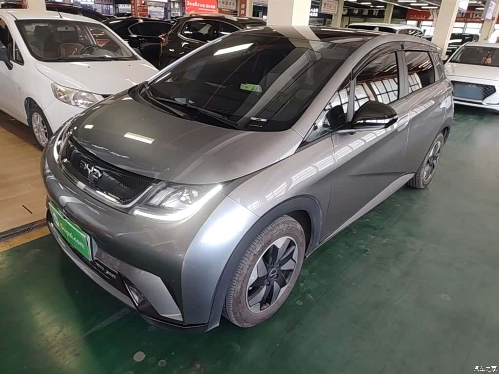 BYD Dolphin, 2024 1
