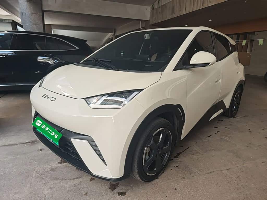 BYD Seagull