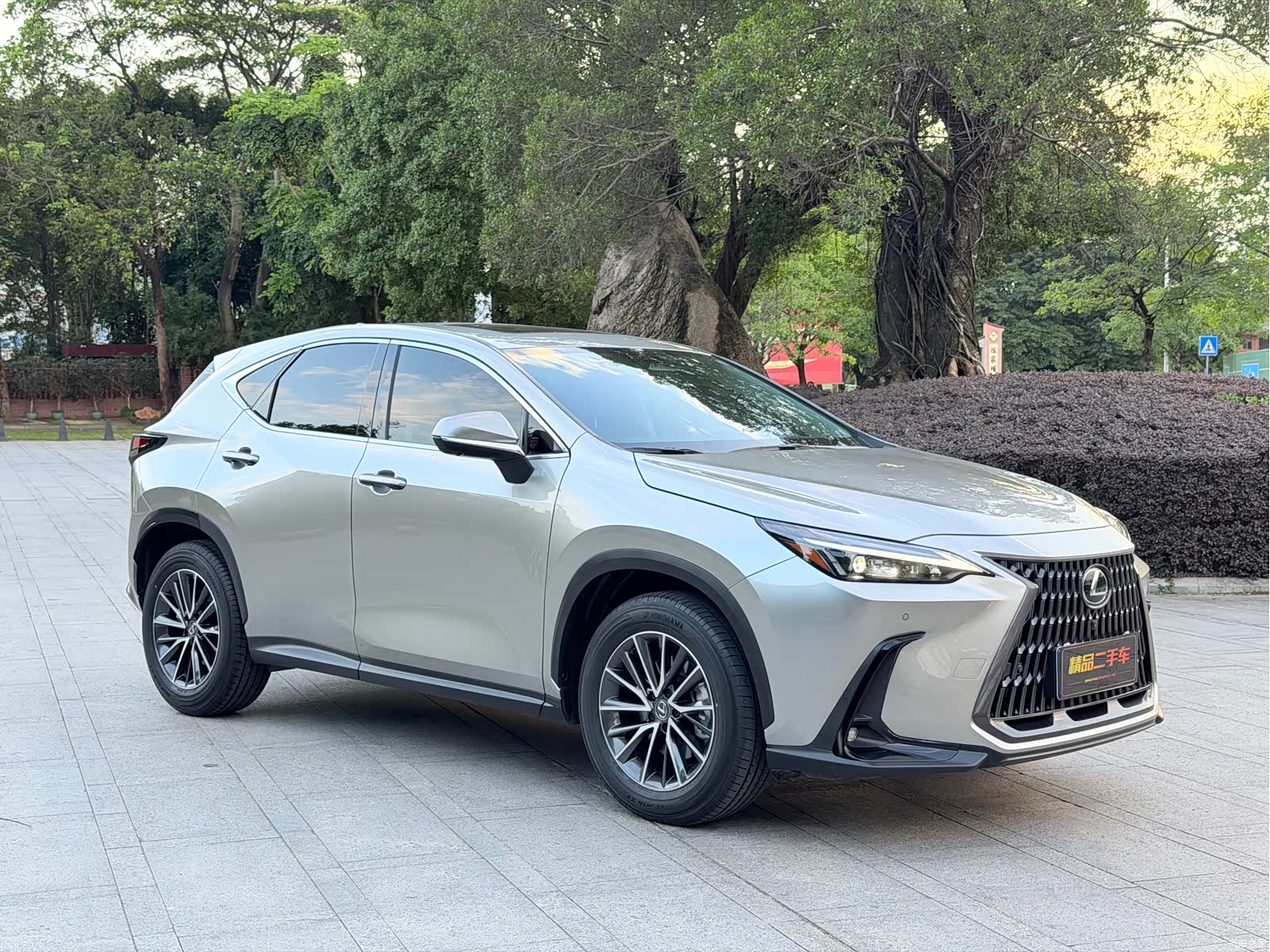 Lexus NX, 2025 3